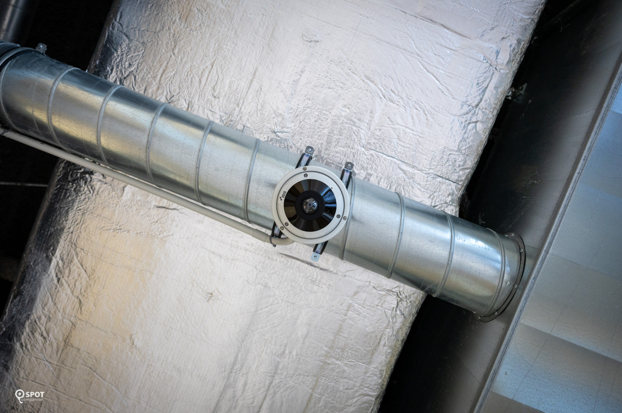 20240704-bink-marklandcollegeoudenbosch_0869