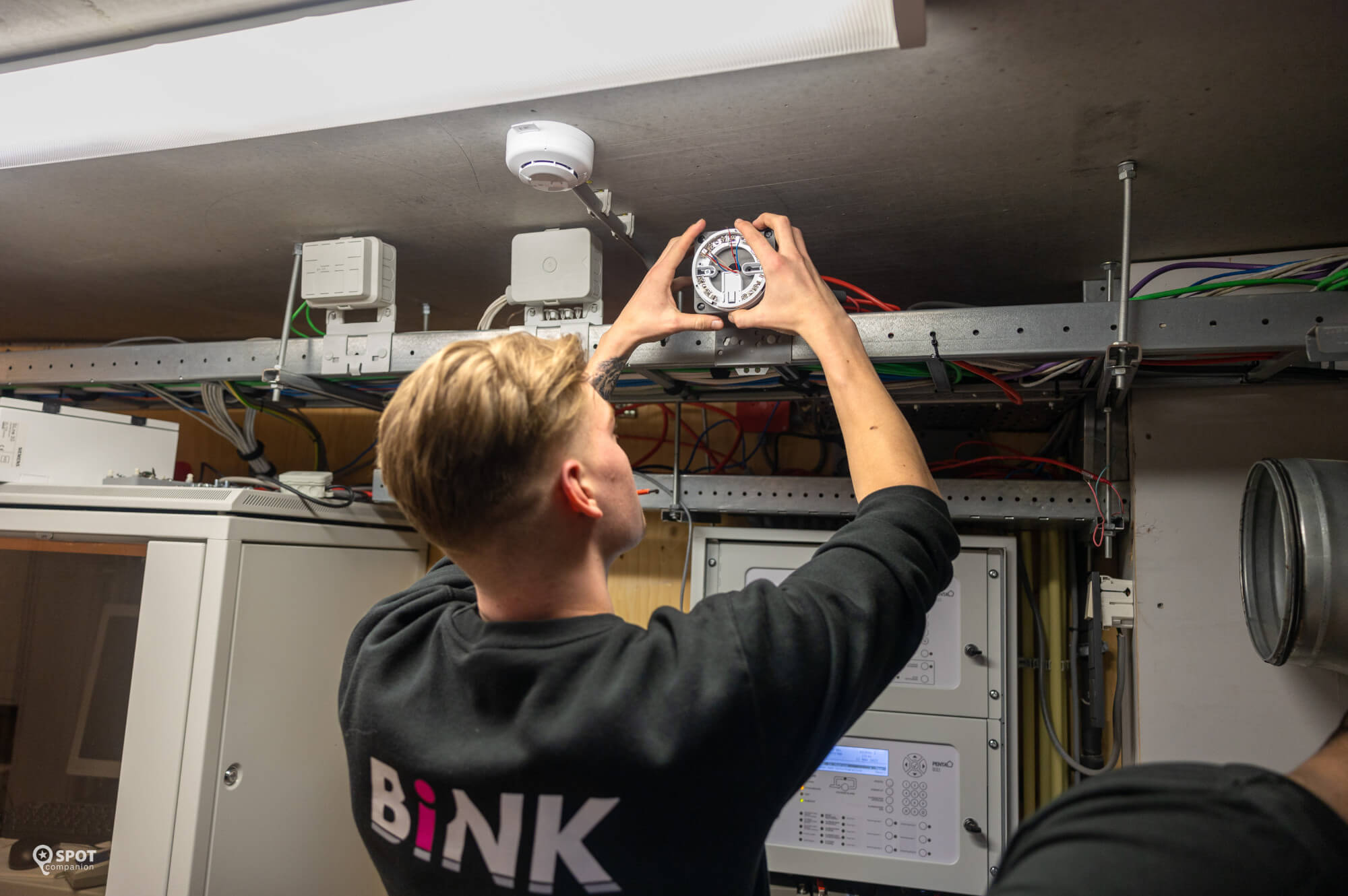 20230322-bink-kroonestede-spotcompanion_c5994