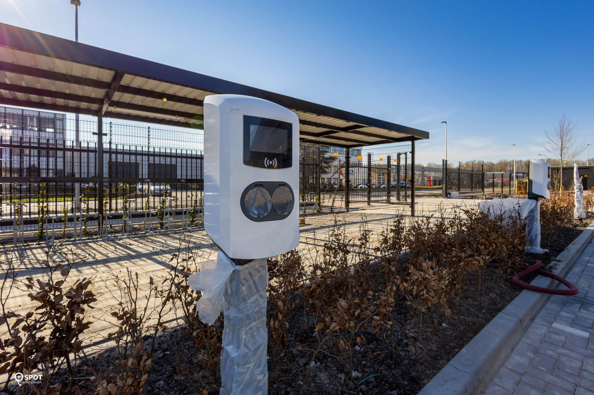 20250402 stedinvianen spotcompanion 4529