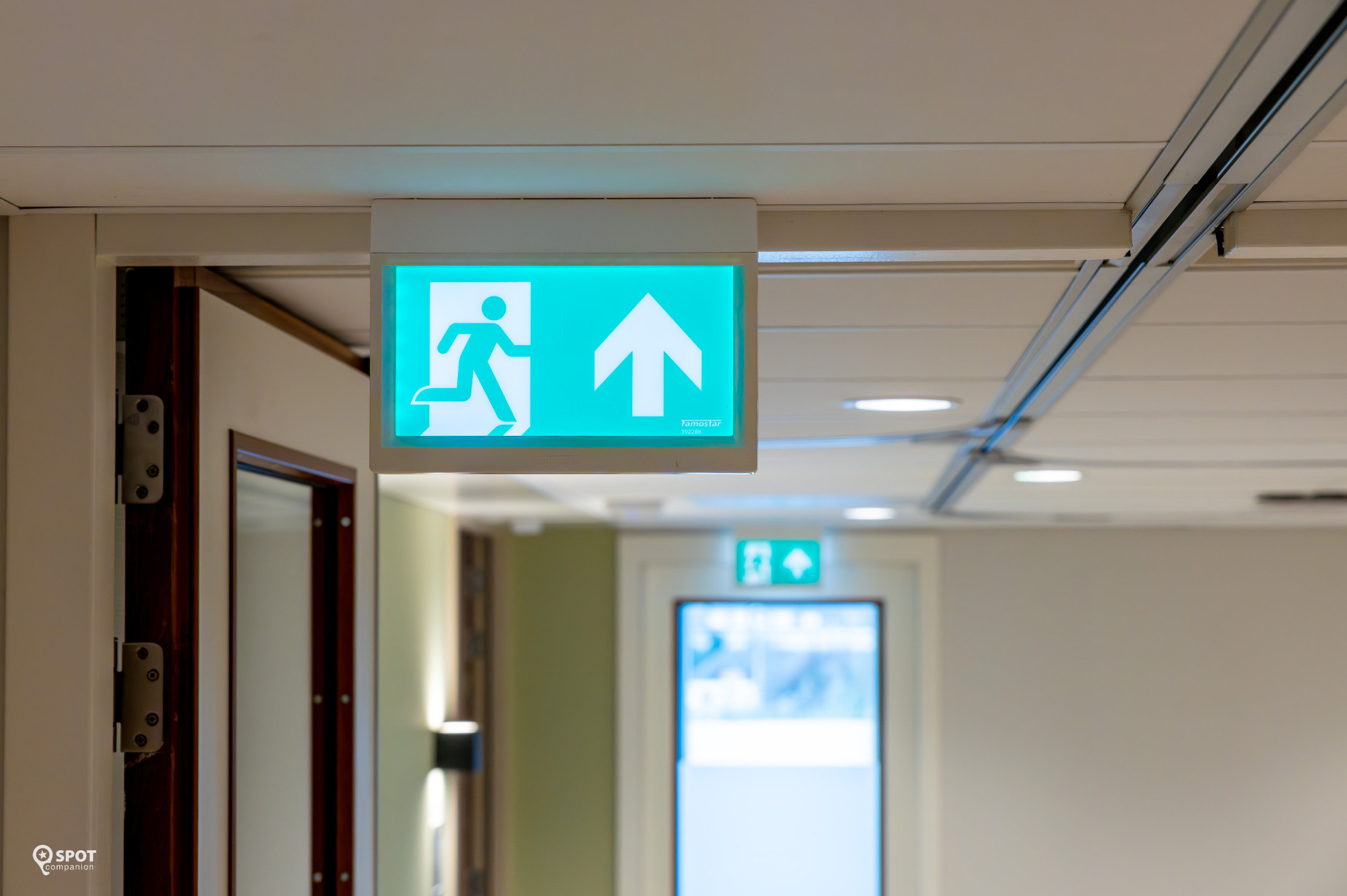 20241120-debeemdkroon-bergenopzoom-spotcompanion-0119-nr