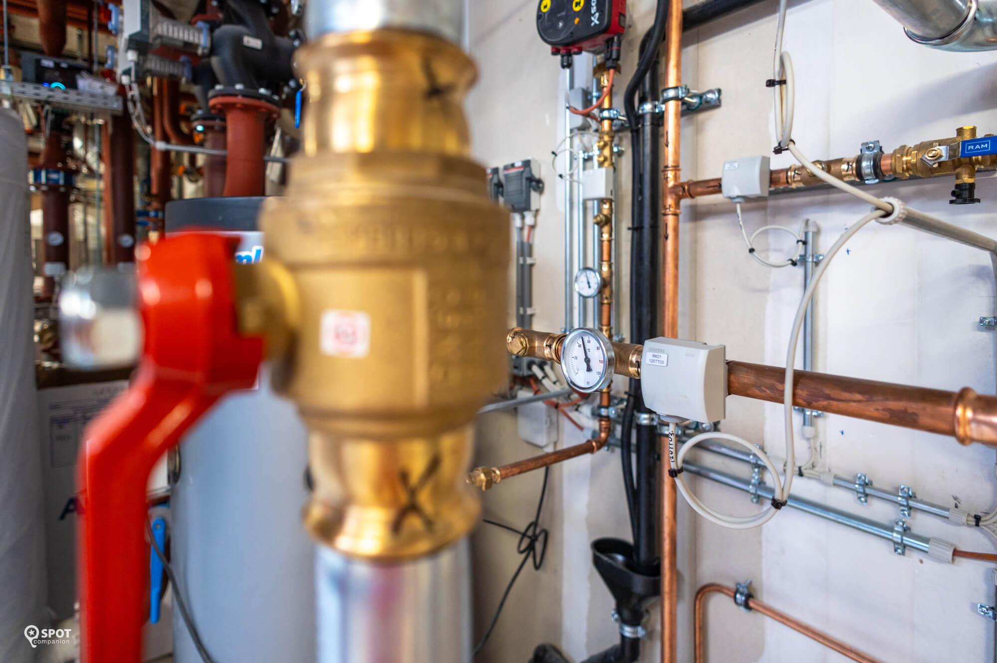 20230911-bink-rotterdamwolfertdaltonendebrug-spotcompanion_c9198