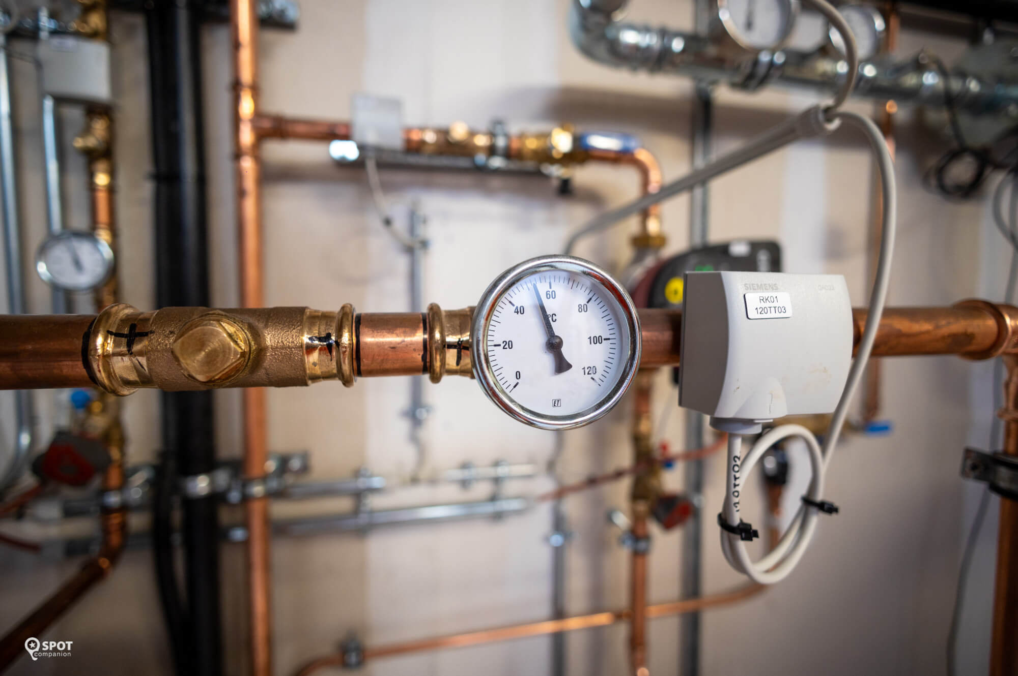 20230911-bink-rotterdamwolfertdaltonendebrug-spotcompanion_c9188